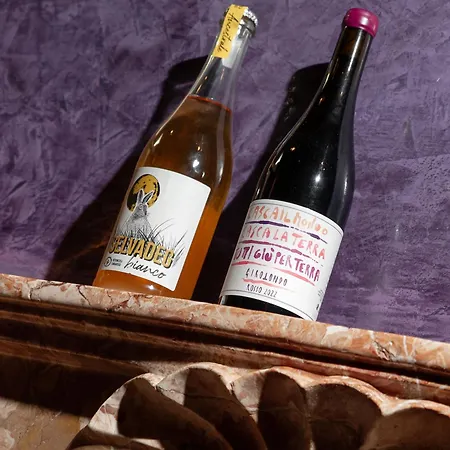 La Concia Reggio d'Emilie