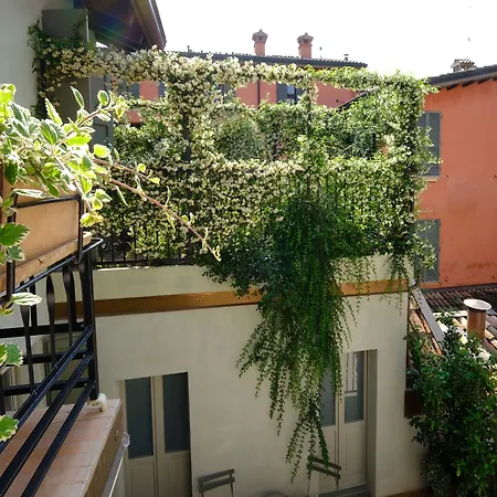 La Concia Reggio d'Emilie