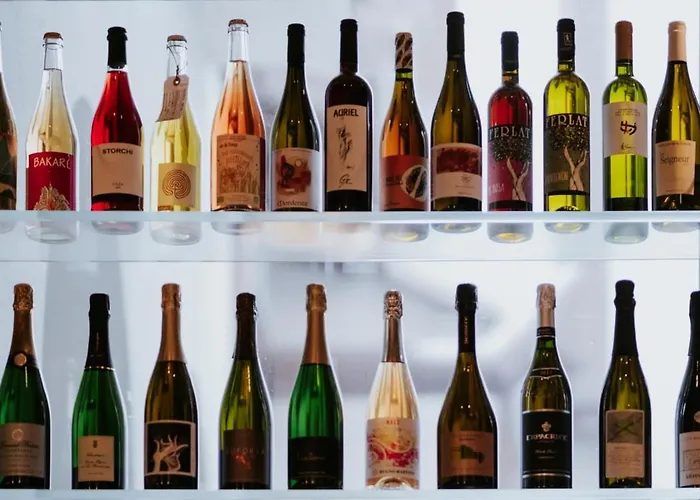 Alojamento de Acomodação e Pequeno-almoço La Concia