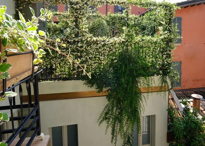 La Concia Reggio nell'Emilia